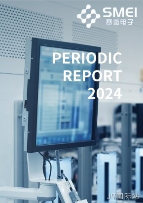 2024年半年度报告